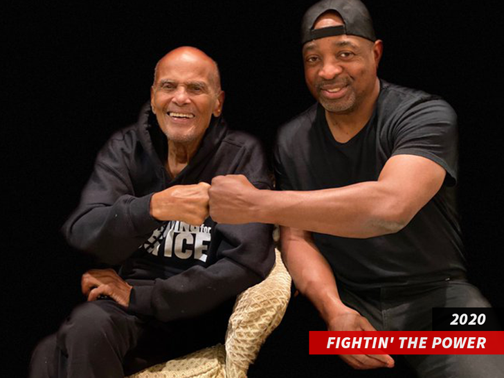 Chuck D and Harry Belafonte swipe