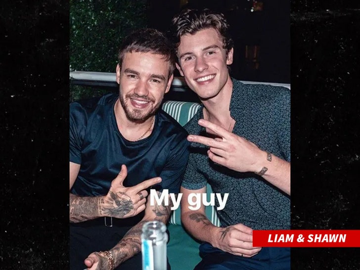 liam payne shawn mendes