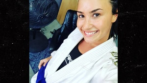 0828_demi_lovato_juijitsu_instagram