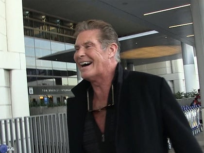 120117_david_hasselhoff_primary