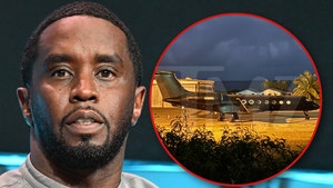 Diddy plane in Signature Antigua airport tmz getty 6