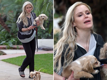 Erin Moriarty Walking Her Dogs