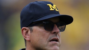 0708-jim-harbaugh-getty-1