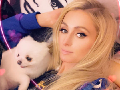 Paris Hilton Pets photos 9