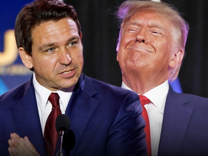 Ron DeSantis and donald trump getty 1