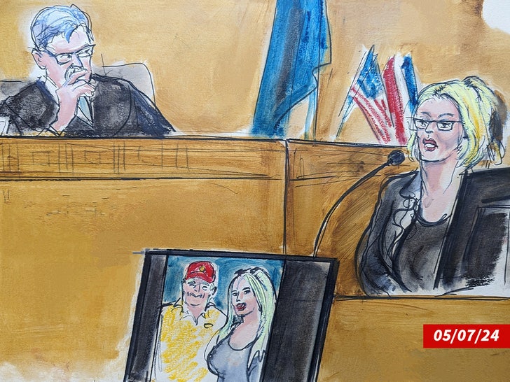 Stormy Daniels Court_