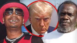 plies donald trump