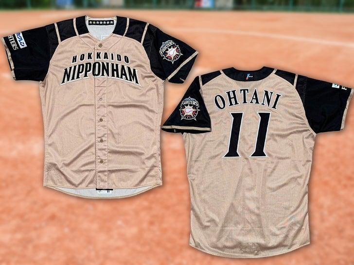 Shohei Ohtani Jersey -- The Auction Item