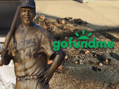 jackie robinson gofundme primary