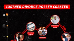 costner divorce roller coaster