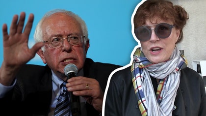 susan-sarandon-bernie