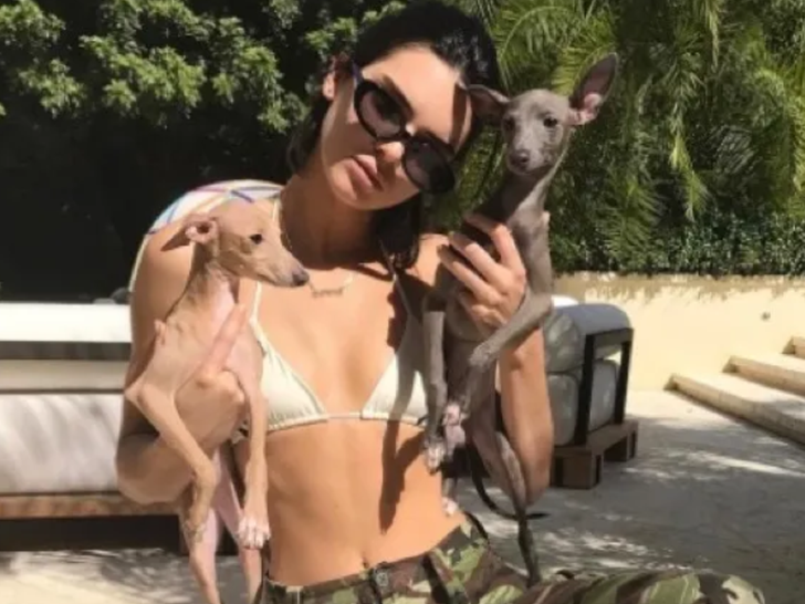 Stars Posin' With Puppies