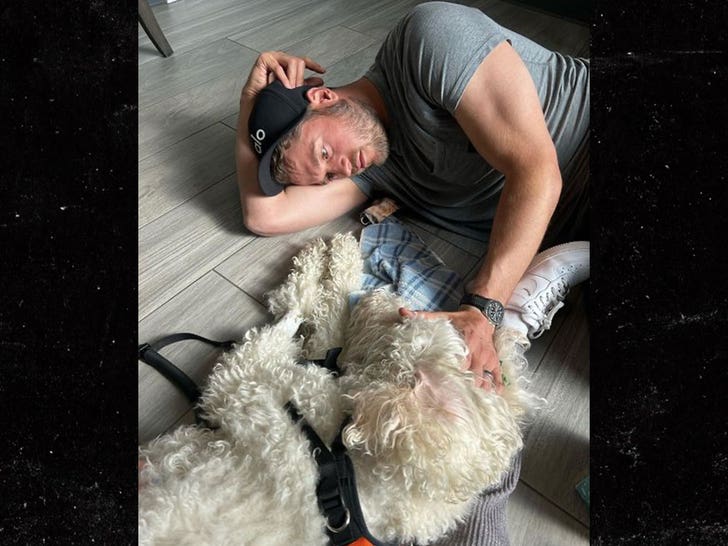 matt stafford and dog isnta