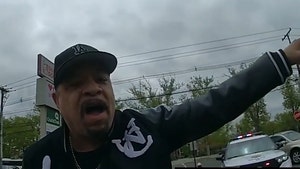 010325-ice-t-1