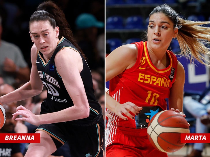 breanna stewart side by side sub