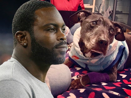 1221-mike vick frodo-fb getty main