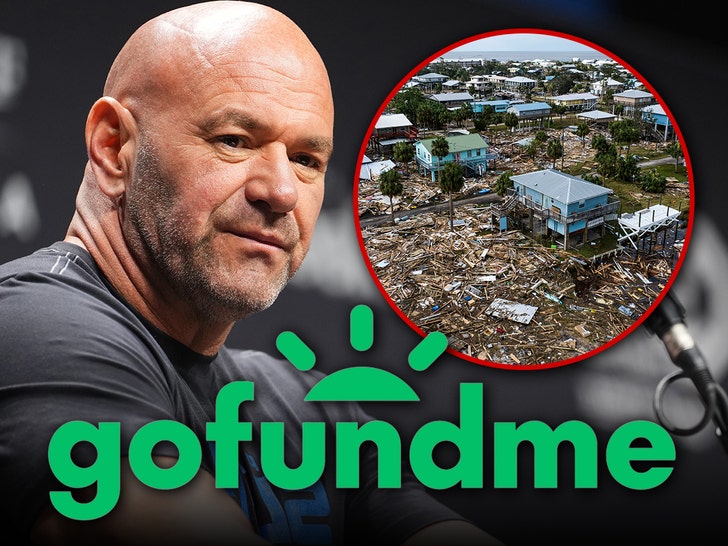 dana white gofundme hurrican helene getty 2