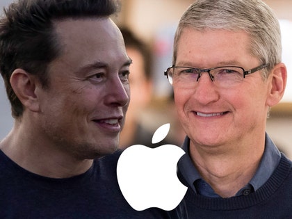 Elon Musk and Tim Cook