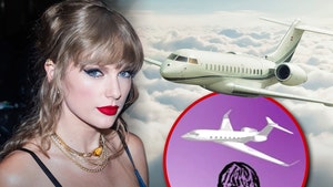 taylor swift jets lawsuit