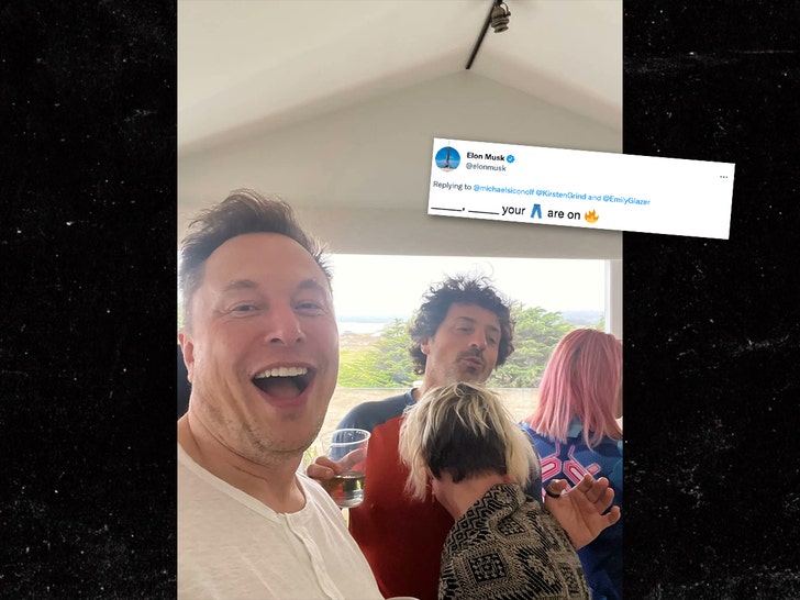 elon musk twitter