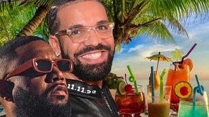 drake gordo tropical party