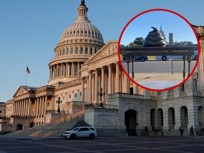 Bronze Turd Monument Pops Up on Capitol Hill