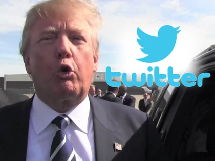 0523_donald-trump-twitter-tmz