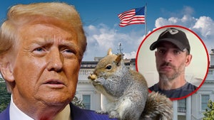 donald trump peanut squirrel