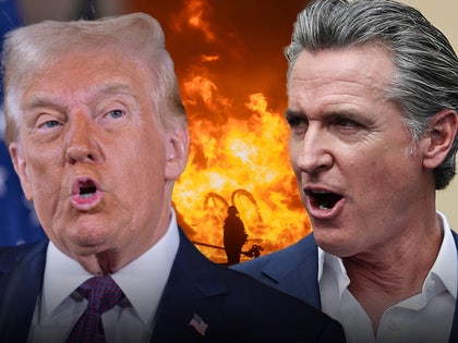 donald trump gavin newsom palisades fires