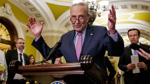 U.S. Senate Majority Leader Chuck Schumer