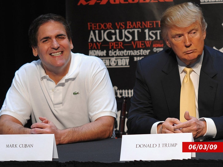 mark cuban donald trump