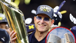 jim harbaugh