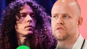 daniel ek marty friedman spotify