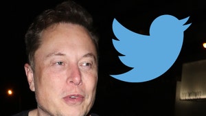 0712-elonmusk twitter getty