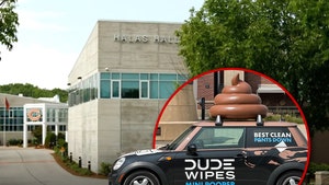 dude wipes chicago bears and halas hall 1