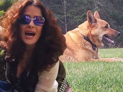 0301_salma-hayek_dog_instagram