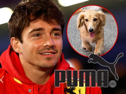 charles leclerc leo dog puma