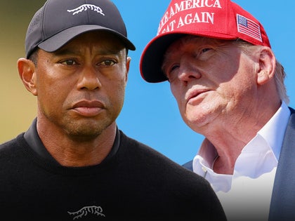 tiger woods donald trump main