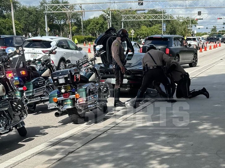 tyreek hill pulled over