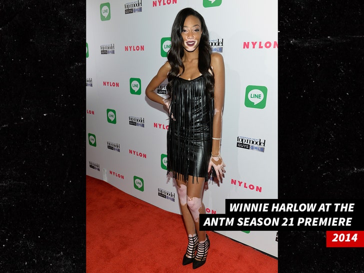 0216-winnie harlow sub 1 getty