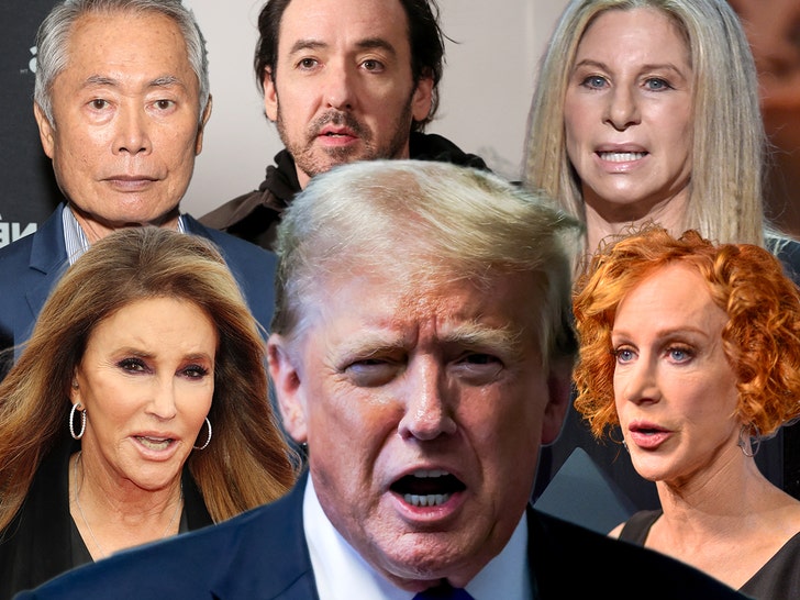 Donald Trump caitlyn jenner, kathy grifin, barbra streisand, george takei and john cusack