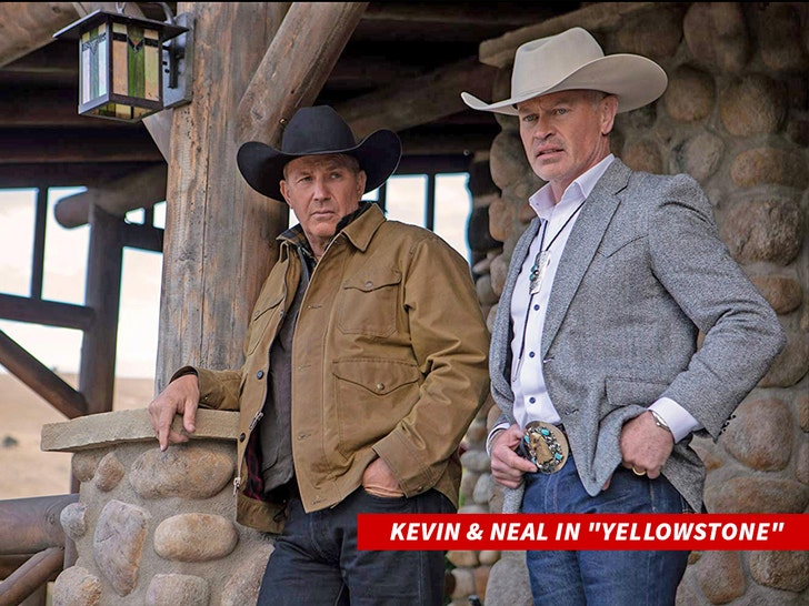 kevin costner and neal mcdonough yellowstone alamy 1