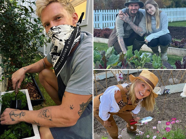 Celebs Gardening ... Stars Going Green!