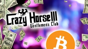 0128-crazy horse bitcoin funart getty