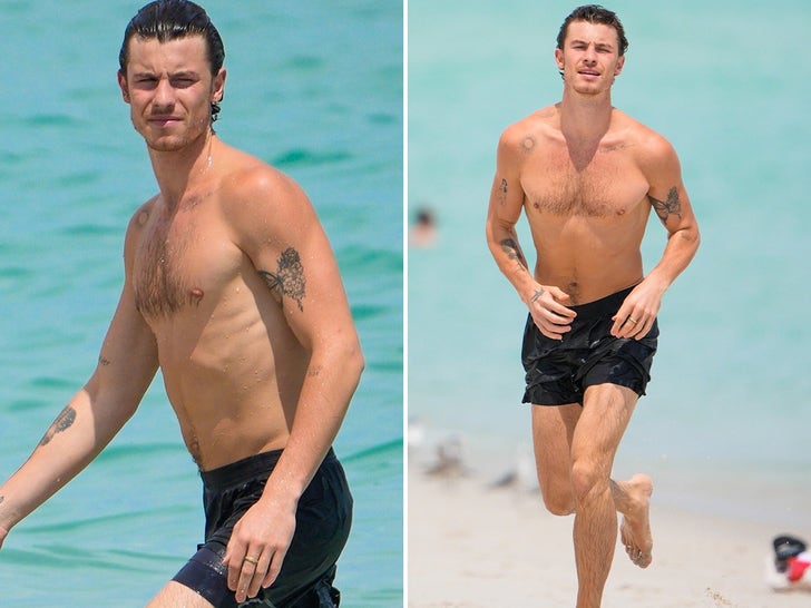 Shawn Mendes Shows Slim Physique In Black Swim Trunks On Miami Beach