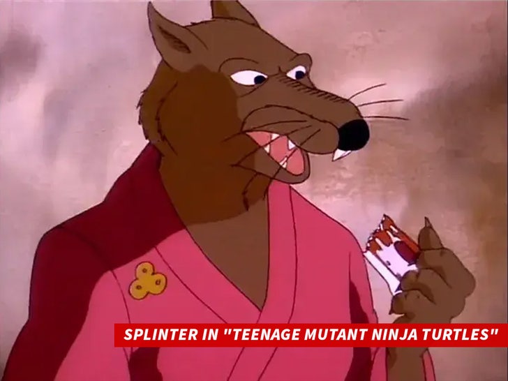 Splinter in 