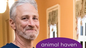 jon stewart animal haven