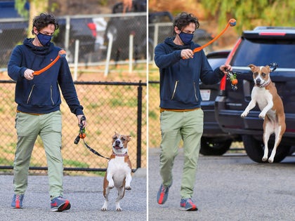 0216-Zach-Braff-dog-park-fetch-poop-photos-primary-2