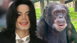 michael jackson bubbles chimpanzee main