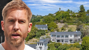 calvin harris house